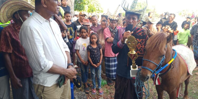 Juara Hus Kuda Cup II Mika Manu “Bukan Sinetron” Bangga Ada Anak Rote di Senayan, Ini Soal Kebersamaan