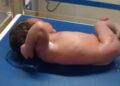 Breaking News! Warga Amarasi Temukan Bayi Perempuan Hidup di Dalam Kardus di Kampung Mnera, Amarasi
