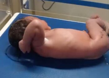Breaking News! Warga Amarasi Temukan Bayi Perempuan Hidup di Dalam Kardus di Kampung Mnera, Amarasi