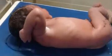 Breaking News! Warga Amarasi Temukan Bayi Perempuan Hidup di Dalam Kardus di Kampung Mnera, Amarasi
