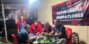 Gempa Flores, PDI Perjuangan NTT Bergerak Cepat Mendirikan 3 Dapur Umum dan Posko Bantuan