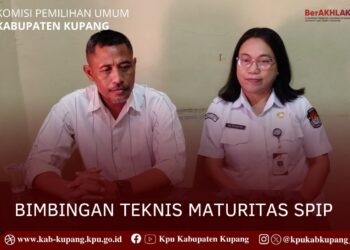 ​KPU Kabupaten Kupang Ikuti Bimtek Pengisian Kertas Kerja Maturitas SPIP KPU RI