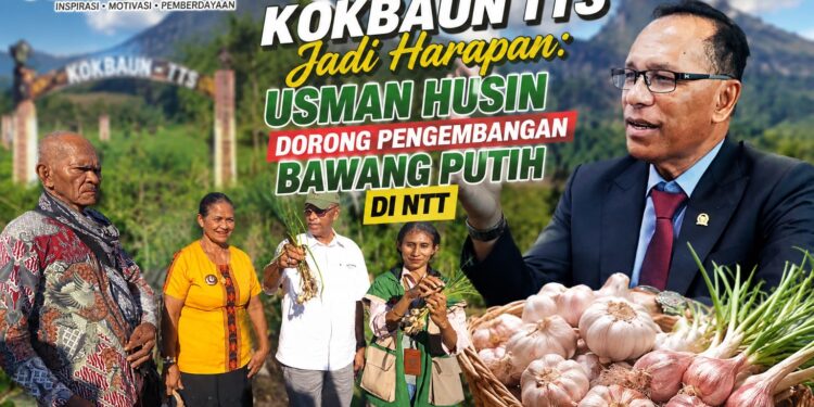 Kokbaun TTS Jadi Harapan: Usman Husin Dorong Pengembangan Bawang Putih di NTT