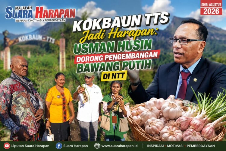 Kokbaun TTS Jadi Harapan: Usman Husin Dorong Pengembangan Bawang Putih di NTT
