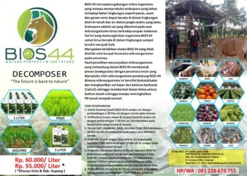 BIOS 44, Solusi Ramah Lingkungan untuk Pertanian, Peternakan dan Perikanan di NTT