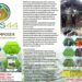 BIOS 44, Solusi Ramah Lingkungan untuk Pertanian, Peternakan dan Perikanan di NTT