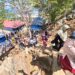 Krisis Sanitasi dan Air Bersih di NTT: Warga Beli Air dari Luar Pulau Hingga Sekolah Tanpa Toilet