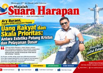 ​Uang Rakyat dan Skala Prioritas: Antara Estetika Patung Kristus dan Pelayanan Dasar