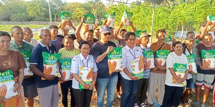 12 Kelompok Tani di Oebelo Bertatap Muka dengan Usman Husin, Terima 3,5 Ton Bibit Jagung Hibrida Super
