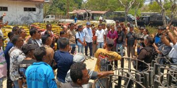​Usman Husin Salurkan Bantuan Alsintan dan Bibit Jagung di Rote Ndao: Bebas Pungli, Kadis Pertanian Beri Apresiasi, DPRD Ingatkan Pengawasan Ketat